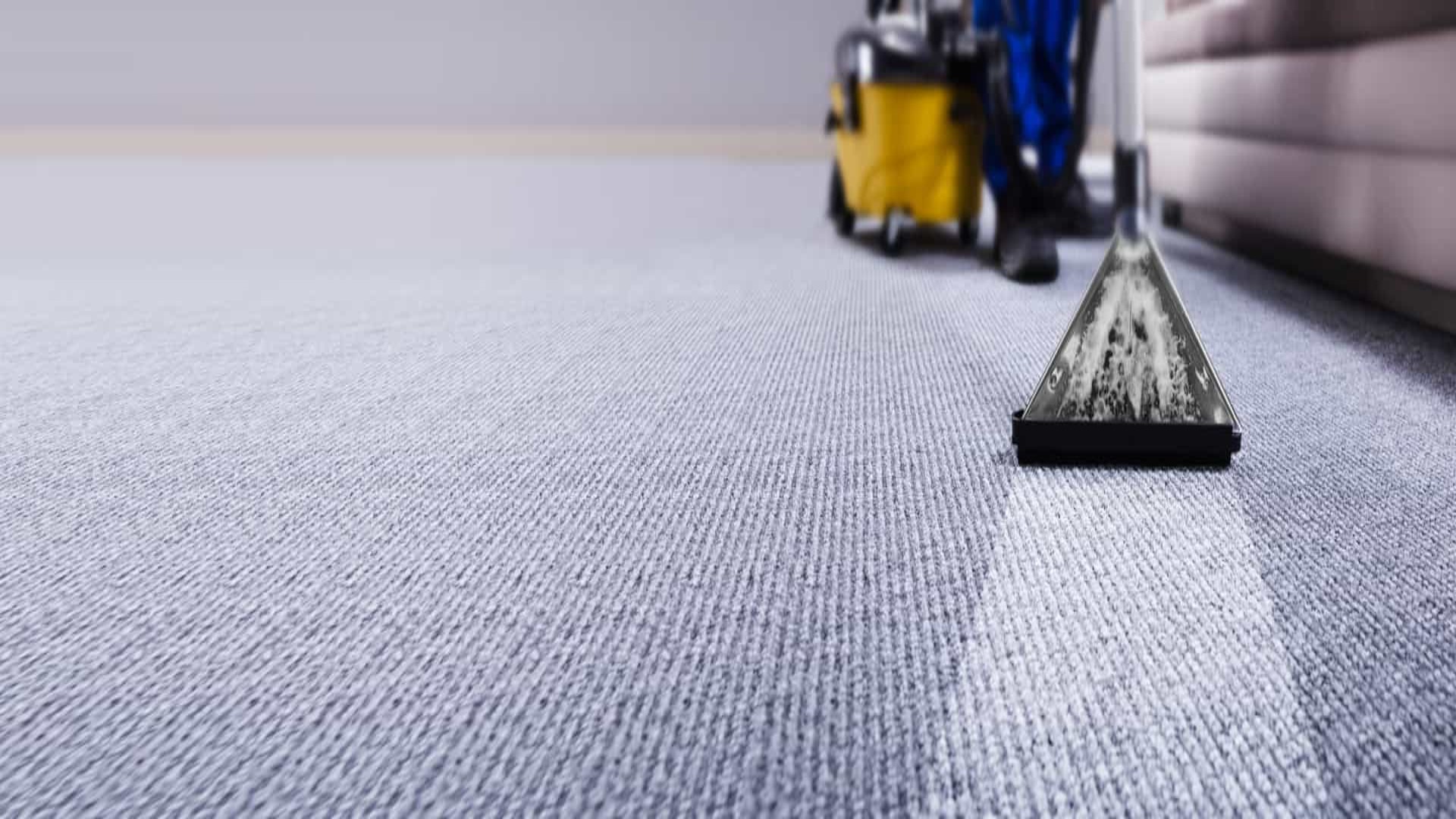 Expert Carpet Cleaning Services in Brooklyn