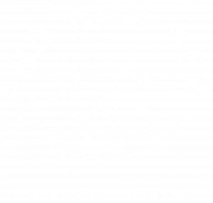 Land and Sea Physical Therapy