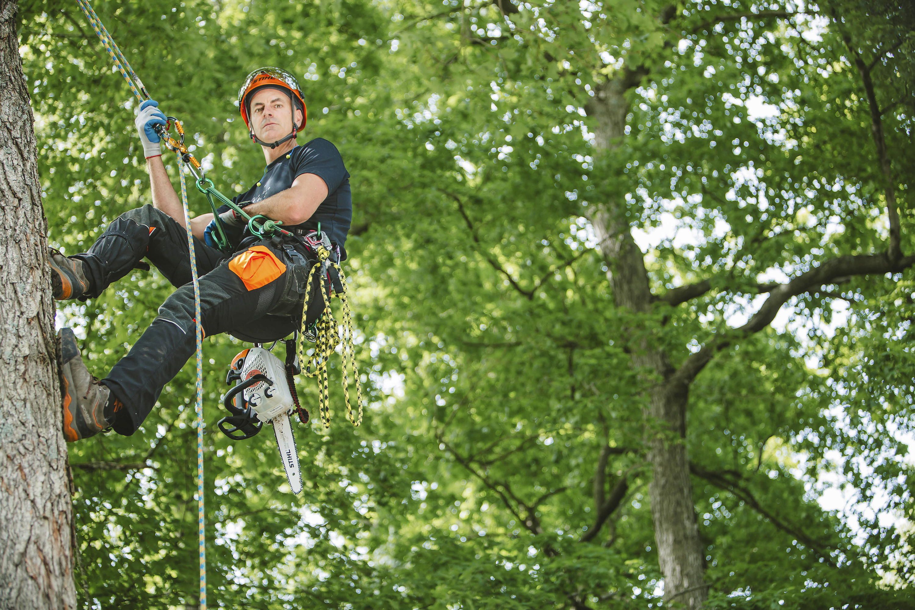 Joplin Tree Care